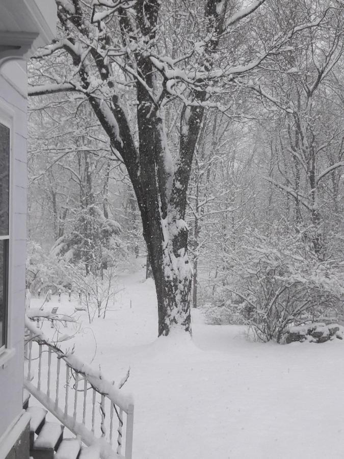 Proctor Mansion Inn Wrentham Bagian luar foto